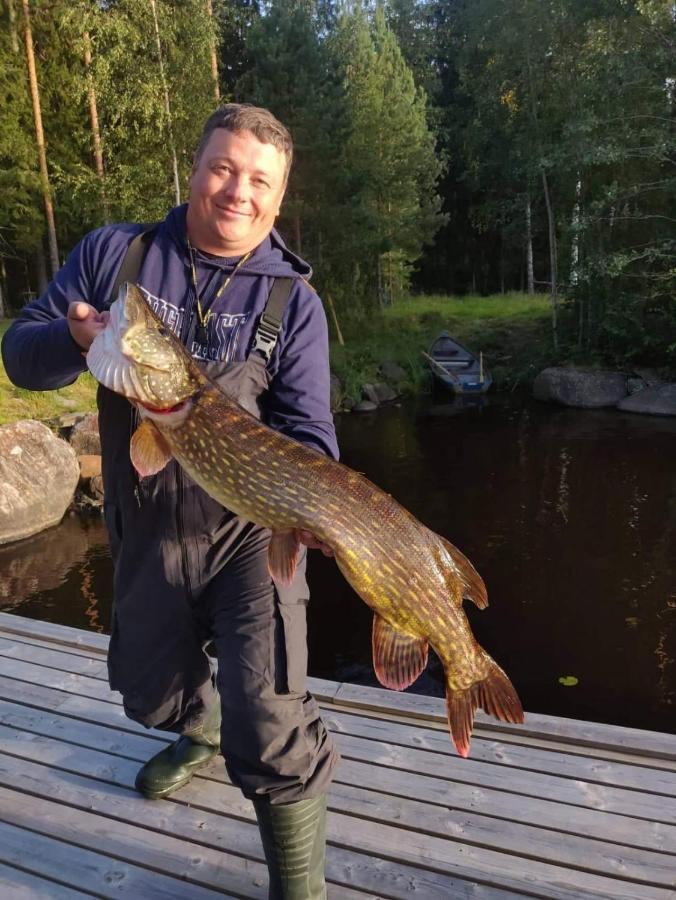 Viihtyisae Hirsimoekki Jaerven Rannalla Siikainen Kültér fotó